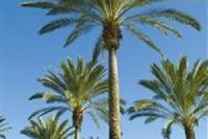 Sunrise Costa Calma Palace voted 9th best hotel in Fuerteventura