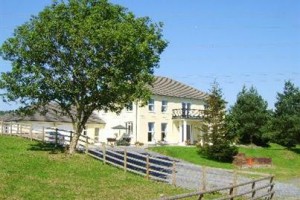 Talfan Farm B&B voted 2nd best hotel in St Clears