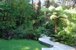 Tangiaro Kiwi Retreat Coromandel Image