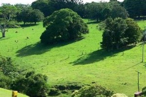 The African Cottage voted  best hotel in Maleny