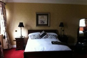 The Bunratty Manor Hotel Image