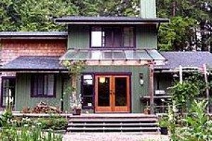 The Ecolodge at the Tofino Botanical Gardens voted 10th best hotel in Tofino