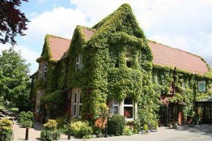 Ivy Hotel Image