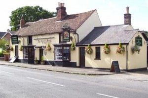 The Kings Arms Sandy Image