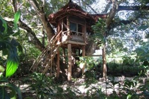 The Mangrove Garden Restaurant & Accommodation Image