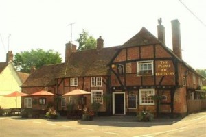 The Plume of Feathers Image