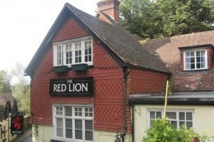 The Red Lion Hotel Betchworth Image