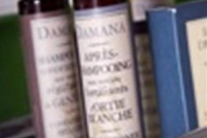 The Richard Onslow Image