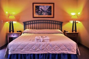 The Sebastopol Inn Image