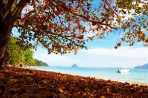 The Seven Seas Resort Trang Image