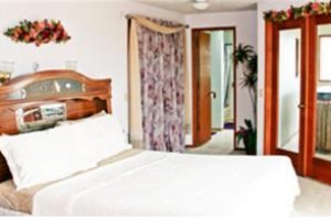 The View Of Views Image