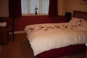 The Woolaston Inn Image