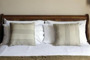 Three Horseshoes Inn Bridport Image