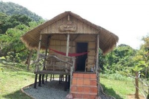 Tree Top Bungalows Image