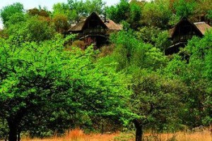 Tshukudu Bush Lodge Image