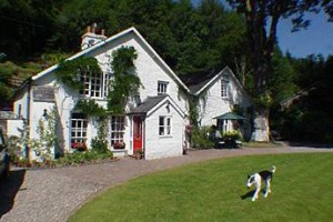 Ty Derw Country House Bed & Breakfast Machynlleth Image