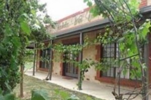 Under the Vines Hotel Image