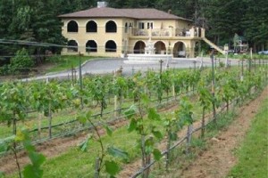 Vignoble Carpinteri, Villa Carpinteri Image