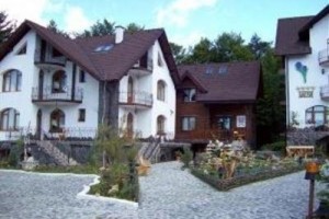 Vila Crocus Hotel Brasov Image