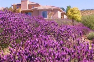 Villa Valdemosa Image