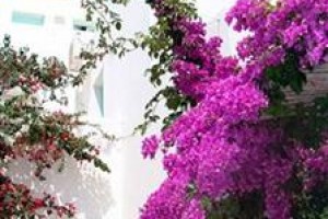 Villa Vergina Image