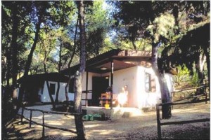 Villaggio Camping Punta Lunga Image