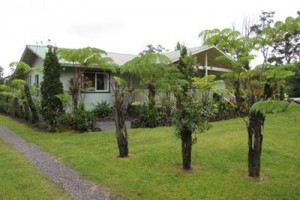 Volcano Fern Forest Retreat Image
