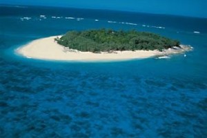Wilson Island voted  best hotel in Wilson Island