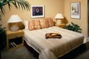 Wagon Wheel Inn voted  best hotel in Petal