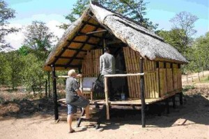 Warthogs Bush Camp Image