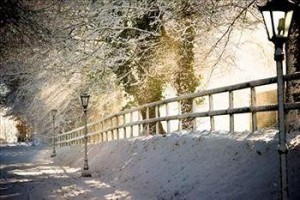 Waterford Castle Hotel voted  best hotel in Waterford