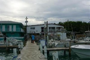 Weech's Bimini Dock and Bay View Rooms Image