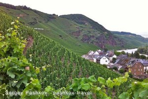 Weinhaus Moselschanke Guest House Kobern-Gondorf Image