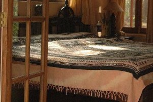 Kanha Jungle Lodge Image