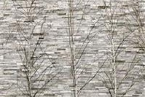 The Westin Boston Waterfront Image