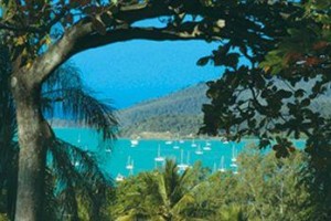 Whitsunday Organic B&B Image