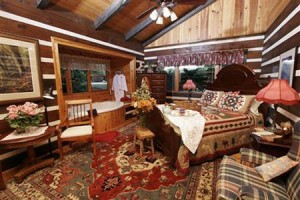 Wildflower Mountain Rentals Sevierville Image