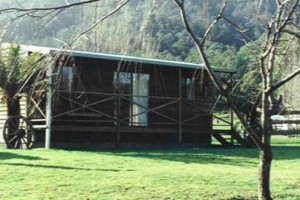 Wing's Wildlife Park voted  best hotel in Gunns Plains