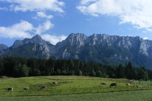 Winklerhof Ebbs Image