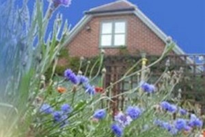 Wisteria Cottage Garden Loft Image