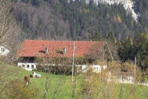 Wohlfuhlbauernhof Bambichlgut Farmhouse Fuschl am See Image
