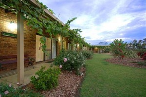 Woolshed Hill Estate Pokolbin Image
