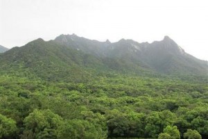 Yakushima Iwasaki Hotel voted 5th best hotel in Yakushima