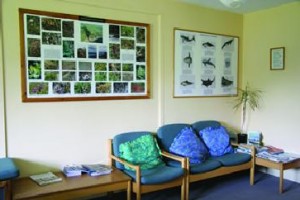 YHA Land's End Image