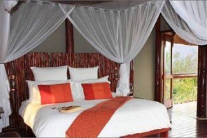 Zwahili Game Lodge Modimolle Image